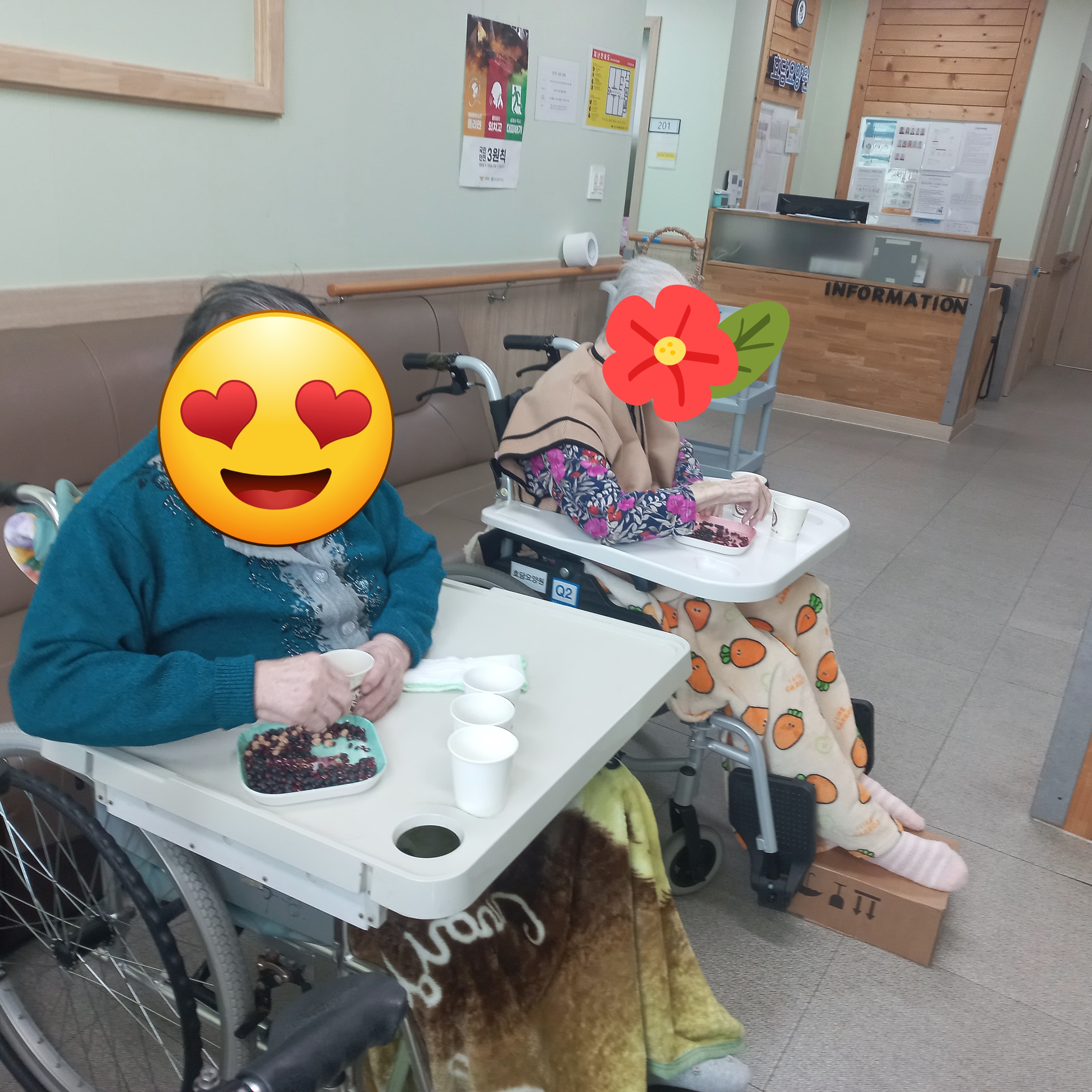 콩고르기.jpg